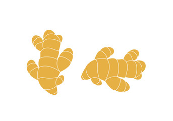 Ginger logo. Isolated ginger on white background