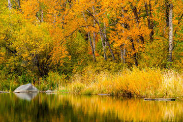 Autumn at Tims Pond in Washington state