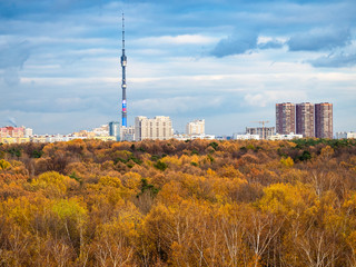 autumn skyline with yellow park and city