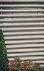 Flower bed near the wall