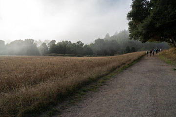 Point Reyes National Park, California