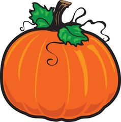 Fall pumpkin icon