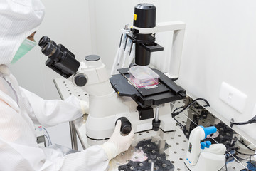 A scientist in sterile coverall gown looking cell morphology of cell culture under microscope. Doing biological research in clean environmental. Cleanroom facility