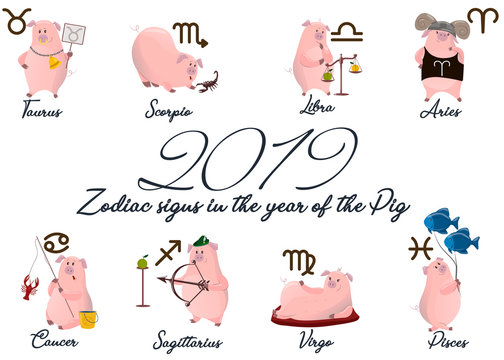 2019 Set of cute cartoon zodiac Pig. Vector illustration zodiacal symbols: Aries, Taurus, Gemini, Cancer, Leo, Virgo, Libra, Scorpio, Sagittarius, Capricorn, Aquarius, Pisces. pig collection.