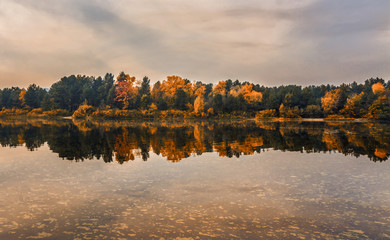 autumn day on the shore near the water. journey. contemplation. pacification.