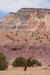 Ghost Ranch colors