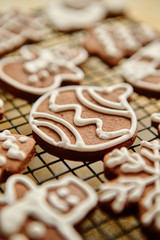 Fresh baked and prepared Christmas shaped gingerbread cookies placed on steel grill frame on a table. View from above.