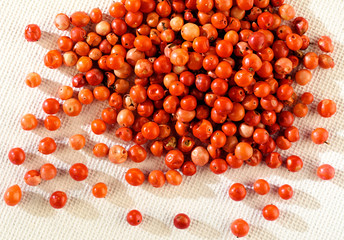 PINK PEPPERCORNS
