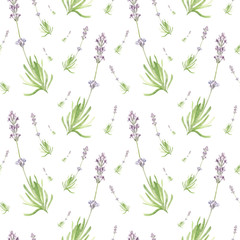 Fototapeta na wymiar Hand drawn watercolor seamless pattern of delicate elegant lavender. Relaxing illustration of cute country field flowers.
