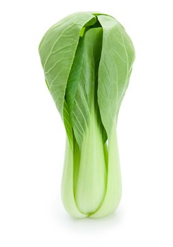 Bok choy (chinese cabbage or Qing geng cai) standing, isolated on white with natural shadows