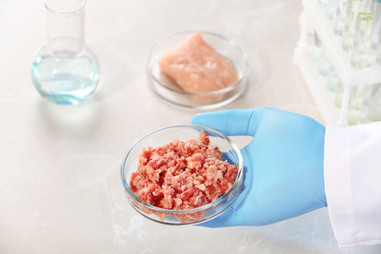 Scientist holding Petri dish with forcemeat sample over table, closeup