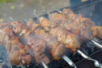 Pork kebab on a skewer