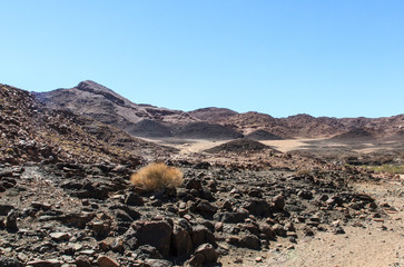 Richtersveld desolation