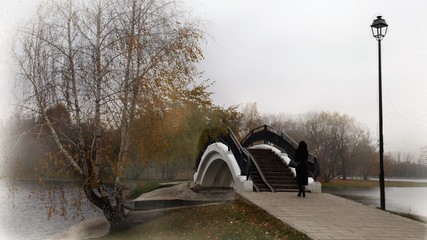 A small bridge is spanned across the river in an old autumn park.