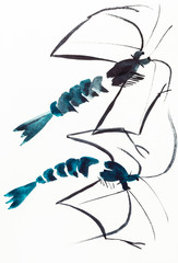 two shrimps drawn by watercolors