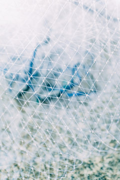 fishnet