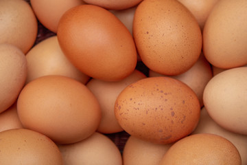 A Collection of Hen's Eggs in a Basket