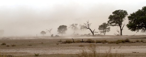 Sandstorm in the Kgalagadi
