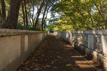 camino