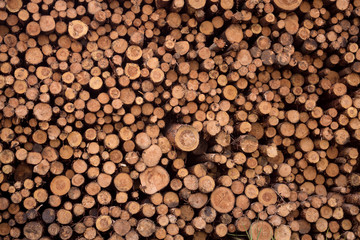 Timber stack wooden pattern for banners