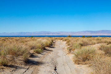 Fototapeta na wymiar A sandy pathway at the Salton Sea, with the water in the distance and a clear sky overhead