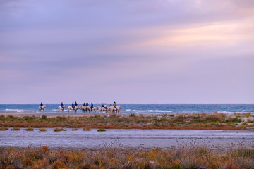 Ballade à cheval en Camargue