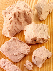FRESH YEAST
