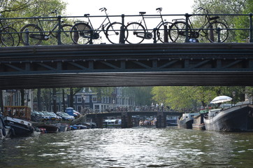 bridge over the river