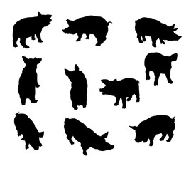cochon, porc, silhouette, illustration, ombre chinoise, vecteur, ferme, animal, sauvage, jambon , isolé,  © behzadillustrations