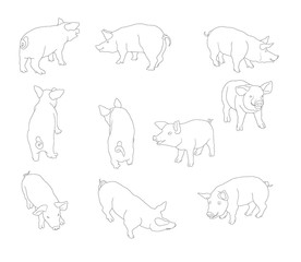 cochon, porc, silhouette, illustration, dessin, tracé, vecteur, ferme, animal, sauvage, jambon, isolé, mouvement, noir, 