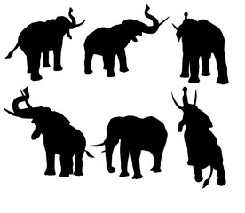 éléphant, silhouette, ombre chinoise, logo,  illustration, mammifère, sauvage, animal, isolé, noir, blanc, faune, 