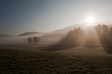 Fototapeta premium landscape bathed in fog / Landschaft in Nebel getaucht