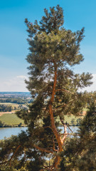 Fototapeta premium Smartphone HD wallpaper of beautiful view at the famous Walhalla Donaustauf - Danube - Bavaria - Germany