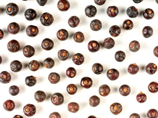 JUNIPER BERRIES