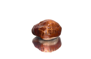 chestnut isolated on white background