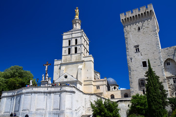 Fototapeta na wymiar The Palais des Papes in the city of Avignon, Provence, France