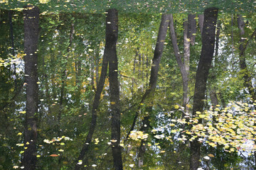 The Neskuchny Garden is a landscape park in the center of Moscow on the banks of the Moskva River,...