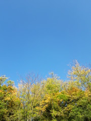 Fototapeta premium Природа