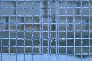 Frost on an iron grid. Winter nature. Cold weather.
