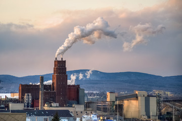 White Birch plant at sunset, chimney smoking, Quebec city, Canada