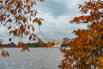 Jefferson Memorial with fall leaves