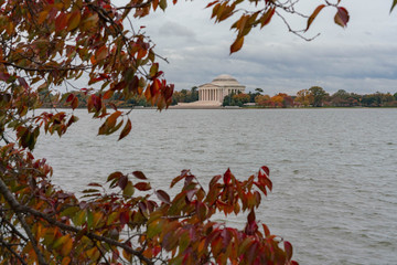 Jefferson Memorial with fall leaves