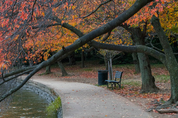 Benches at the basin