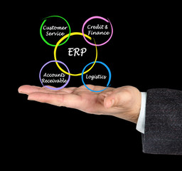 Components of ERP