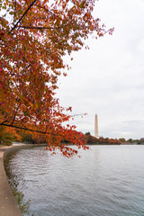 Washington Monument in Fall Leaves