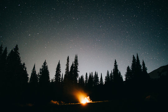 A campfire underneath the stars