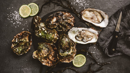 Fresh opened oysters with lemon, spices, salt, a knife and seaweed on slate stone background. Seafood, Shellfish, toning, top view