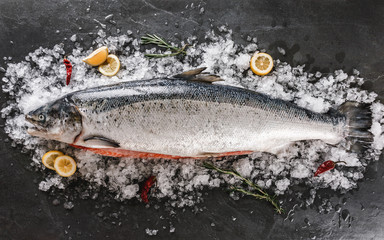 Fresh raw salmon red fish with spices on ice over dark stone background. Creative layout made of fish, top view, flat lay.