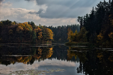 Autumn season forest lake