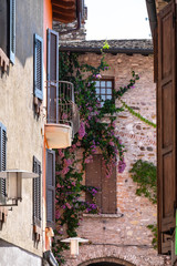 Fototapeta na wymiar Flowers on the walls of houses in the city of Sirmione